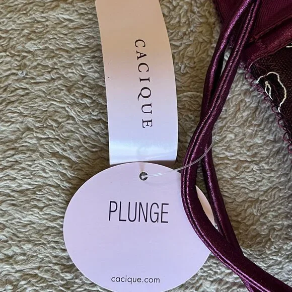 Cacique Plunge Bra 42DD Embroidered Lace Plum NWT - Picture 5 of 8